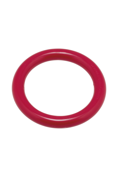 Tauchring, Ø 14 cm, rot